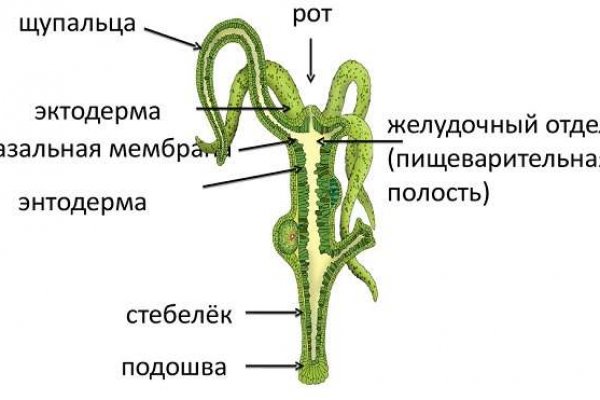 Кракен площадка торговая что это