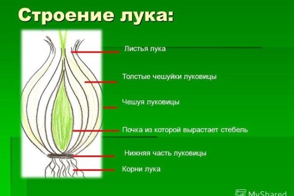 Кракен не работает сегодня